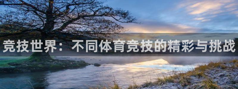 J9官网下载招商电话地址:竞技世界:不同体育竞技的精彩与挑战
