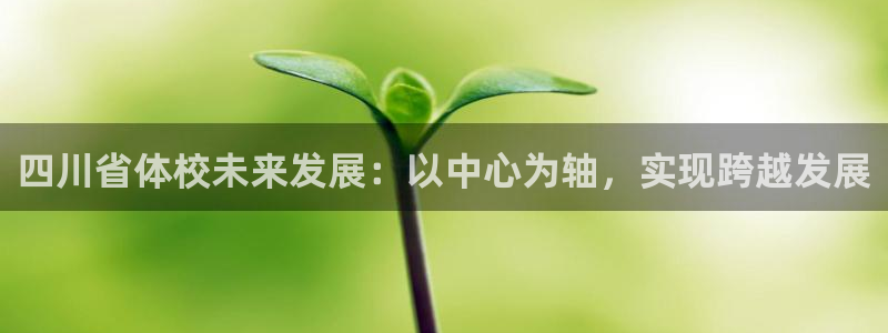 J9官网下载平台注册要钱吗安全吗:四川省体校未来发展:以中心